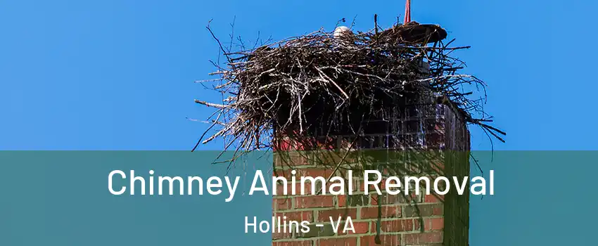  Chimney Animal Removal Hollins - VA