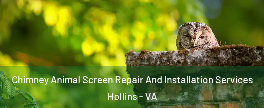  Chimney Animal Screen Repair And Installation Services Hollins - VA