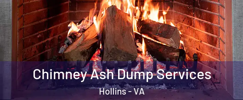  Chimney Ash Dump Services Hollins - VA