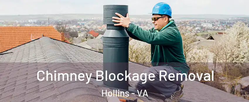  Chimney Blockage Removal Hollins - VA