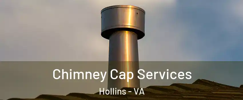 Chimney Cap Services Hollins - VA