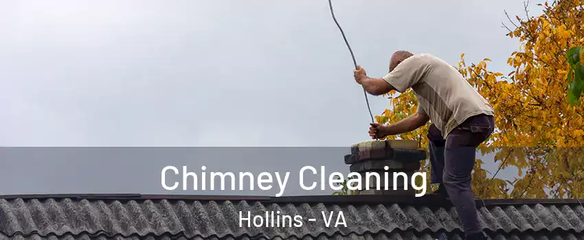  Chimney Cleaning Hollins - VA