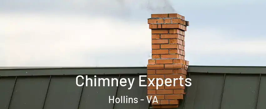  Chimney Experts Hollins - VA
