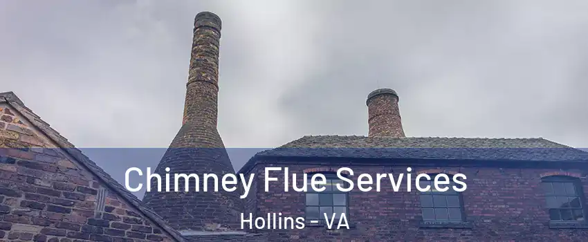  Chimney Flue Services Hollins - VA