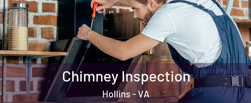  Chimney Inspection Hollins - VA