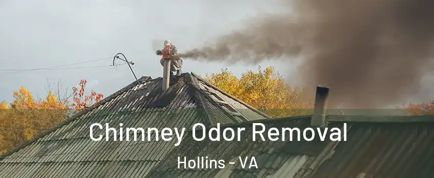  Chimney Odor Removal Hollins - VA