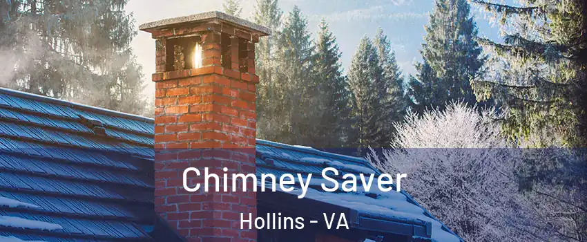  Chimney Saver Hollins - VA