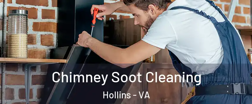  Chimney Soot Cleaning Hollins - VA