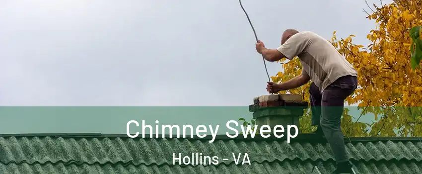  Chimney Sweep Hollins - VA