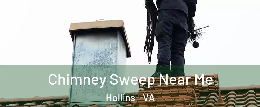  Chimney Sweep Near Me Hollins - VA