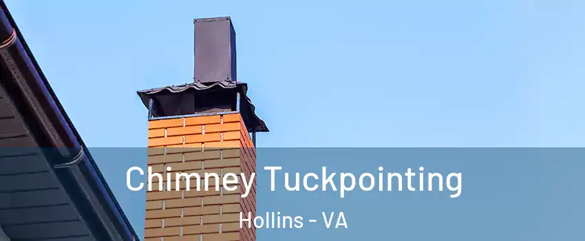  Chimney Tuckpointing Hollins - VA