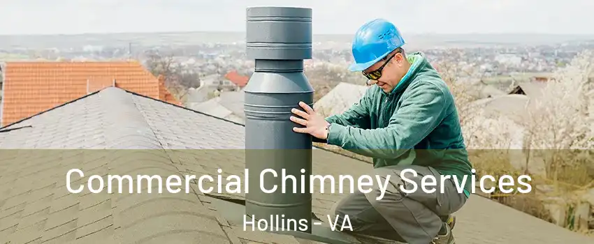  Commercial Chimney Services Hollins - VA