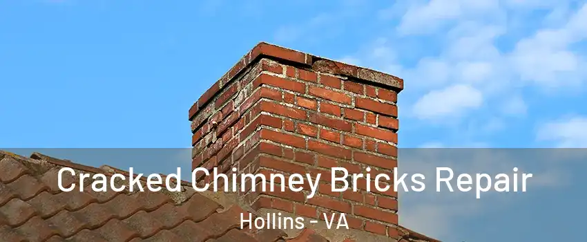  Cracked Chimney Bricks Repair Hollins - VA