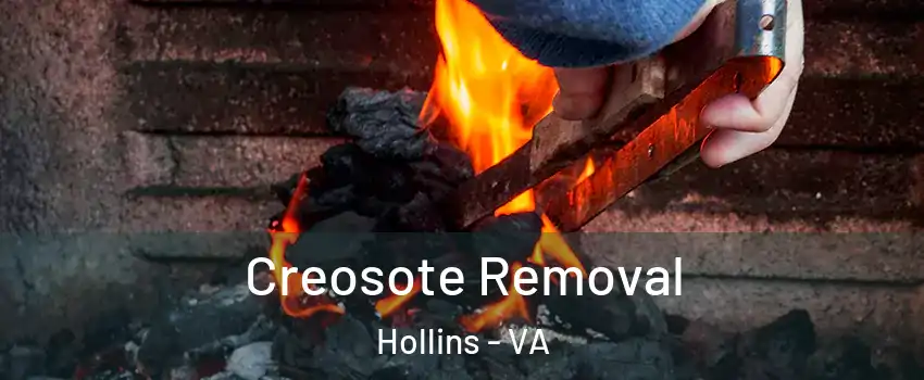  Creosote Removal Hollins - VA