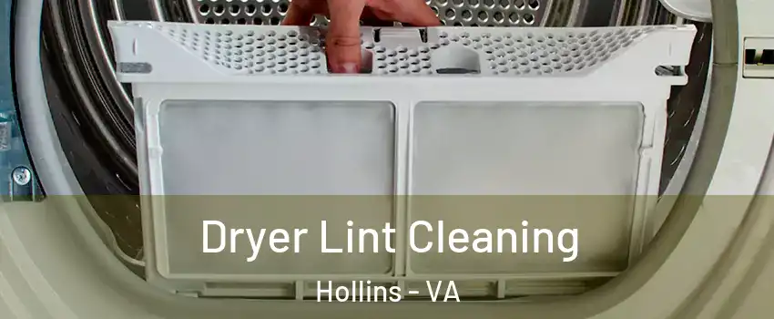  Dryer Lint Cleaning Hollins - VA