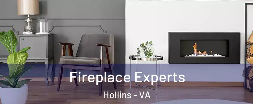  Fireplace Experts Hollins - VA