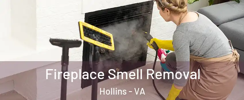  Fireplace Smell Removal Hollins - VA