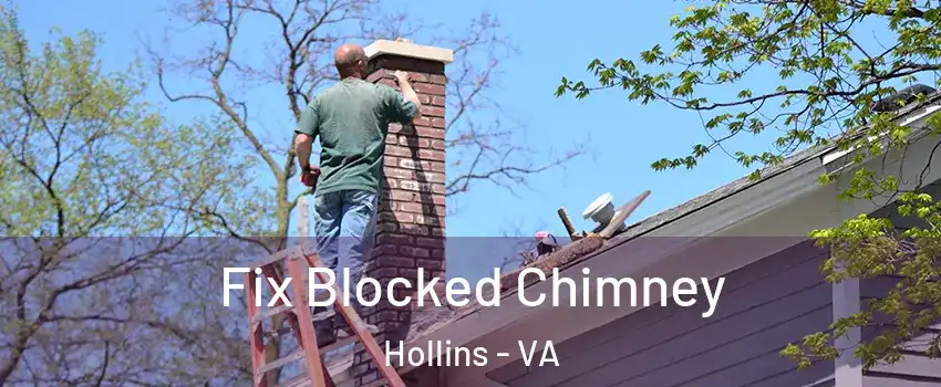  Fix Blocked Chimney Hollins - VA