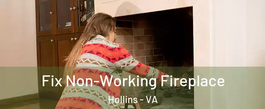  Fix Non-Working Fireplace Hollins - VA