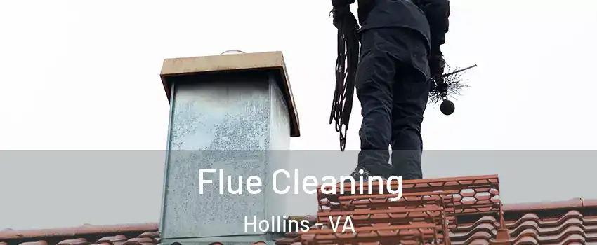  Flue Cleaning Hollins - VA
