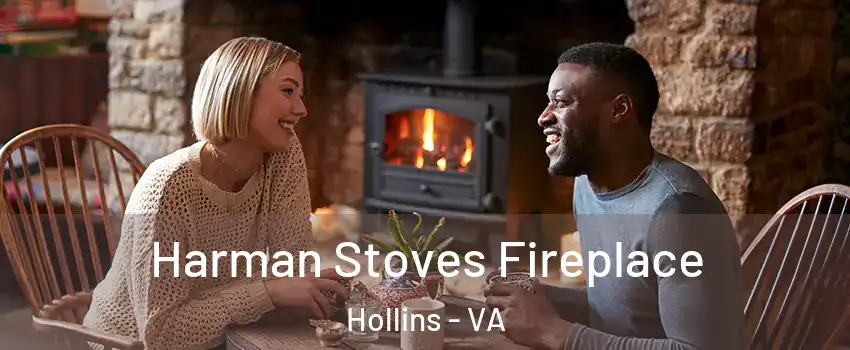  Harman Stoves Fireplace Hollins - VA