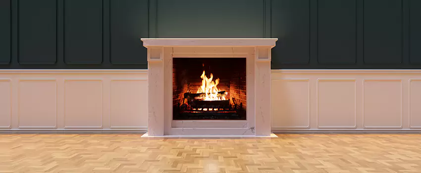 Napoleon Electric Fireplaces Inspection Service in Hollins, Virginia