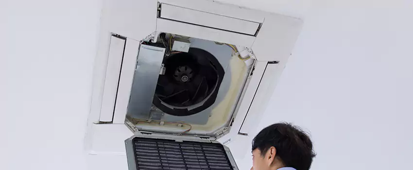 Benefits of Professional Air Duct Cleaning in Hollins, Virginia