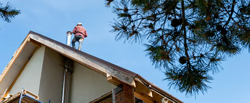 Birds Removal Contractors from Chimney in Hollins, VA