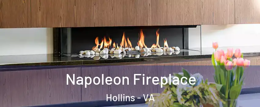  Napoleon Fireplace Hollins - VA