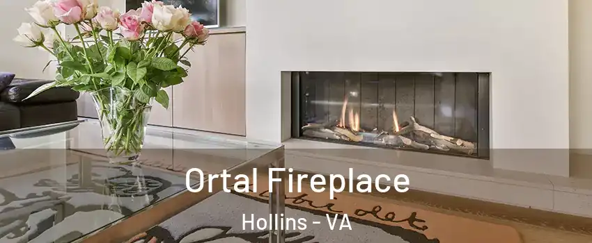  Ortal Fireplace Hollins - VA