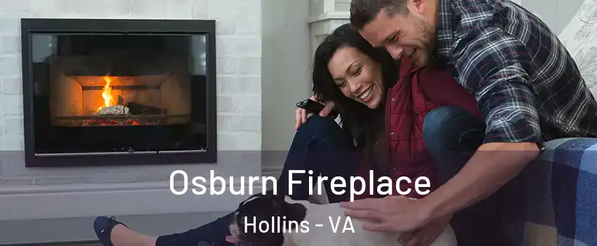  Osburn Fireplace Hollins - VA